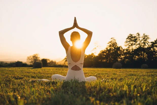 zwanenveld impressie